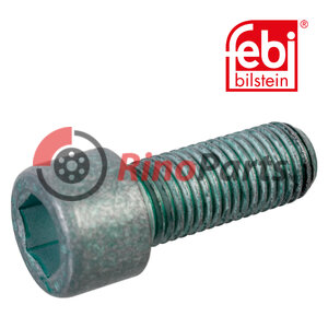 Interior Hexagon Bolt for hub cap
