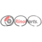 500055919 RING SET, PISTON