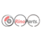 500055919 RING SET, PISTON