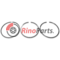 2992540 PISTON RINGS SET