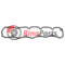 500388382 GASKET