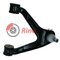 500379801 RADIUS ARM