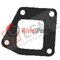 61318822 GASKET