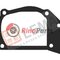 500378761 GASKET