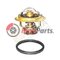 500329622 THERMOSTAT