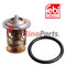 51.06402.0109 Thermostat with sealing ring