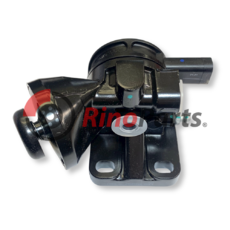 500316676 SUPPORT