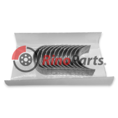 500086467 BEARING, CAMSHAFT SET RED