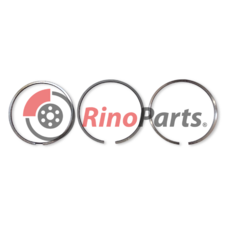 500055919 RING SET, PISTON