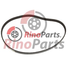 500368902 BELT