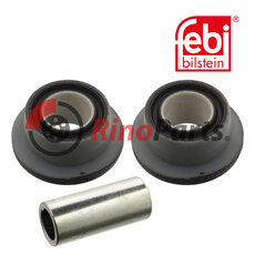 58 0156 4281 Bush for spring eye