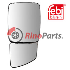 G743810150020 Mirror System (manual import)